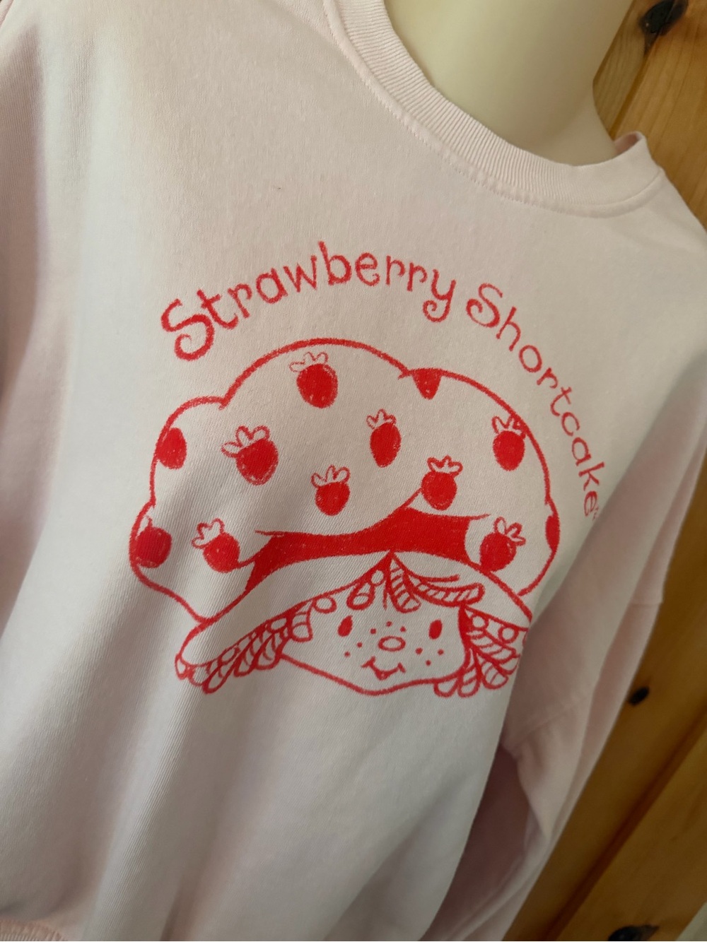 Strawberry Shortcake Pink Graphic Sweatshirt Retro Coquette 80s Nostalgia, M